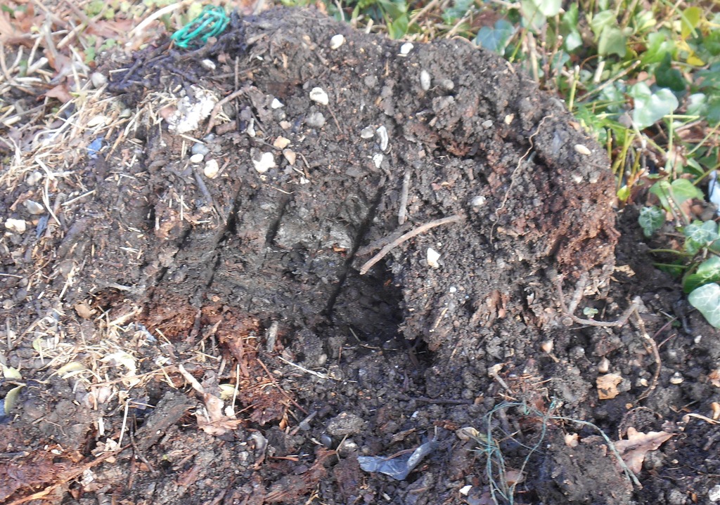finishedbincompost