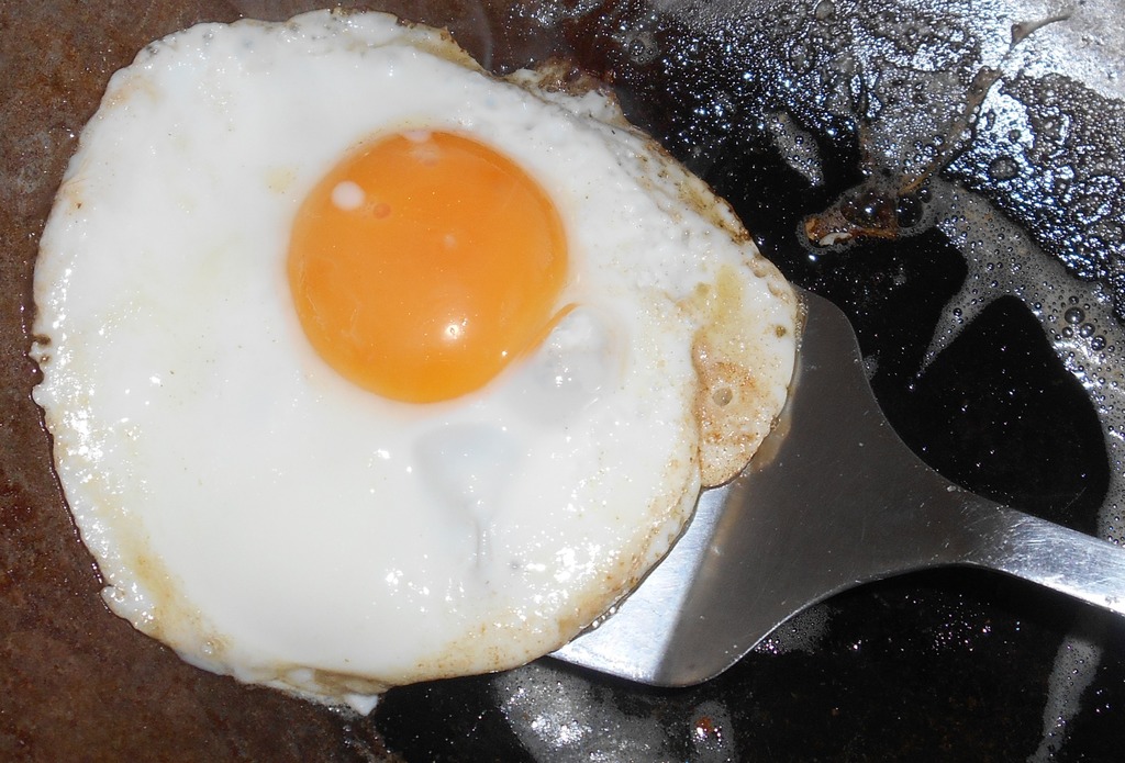 fr_eggOnSpatula