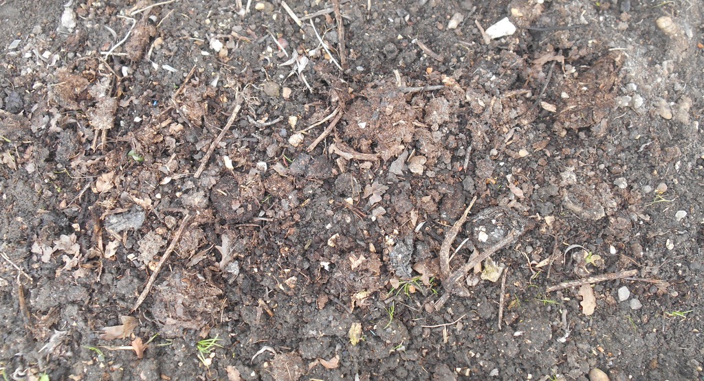 spread_compost