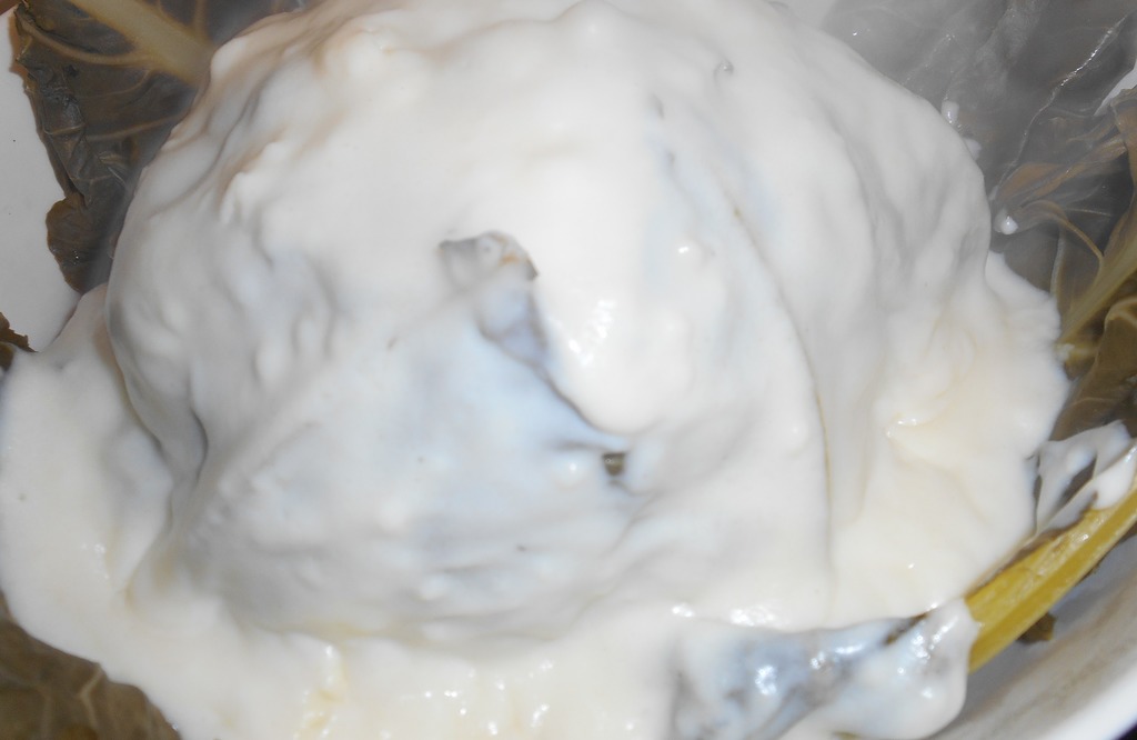 caul_withWhiteSauce