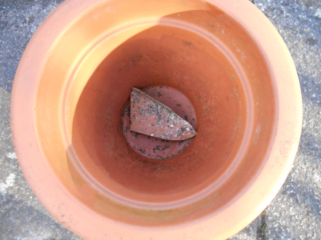 crocInPot