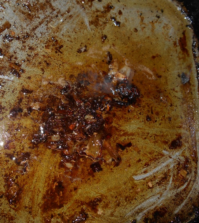 gravy_scrapeBitsRoastingTin